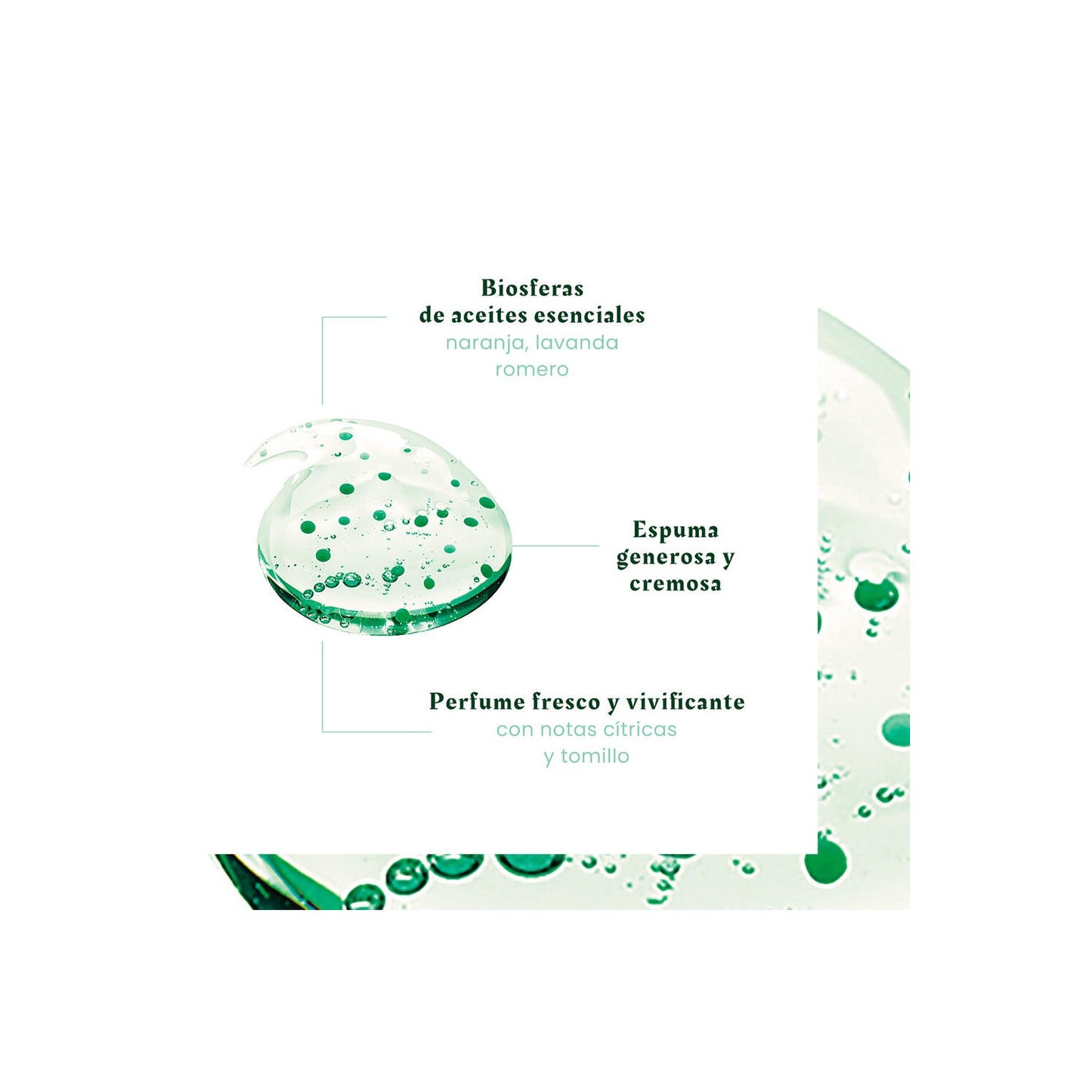 René Furterer Forticea Champú Fortalecedor y Revitalizante 50ml