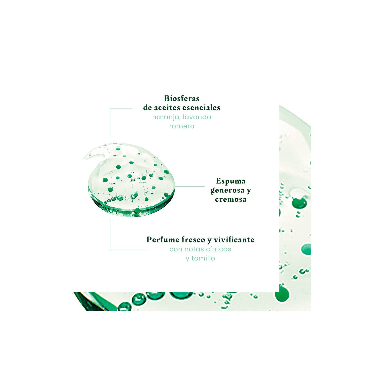 René Furterer Forticea Champú Fortalecedor y Revitalizante 50ml
