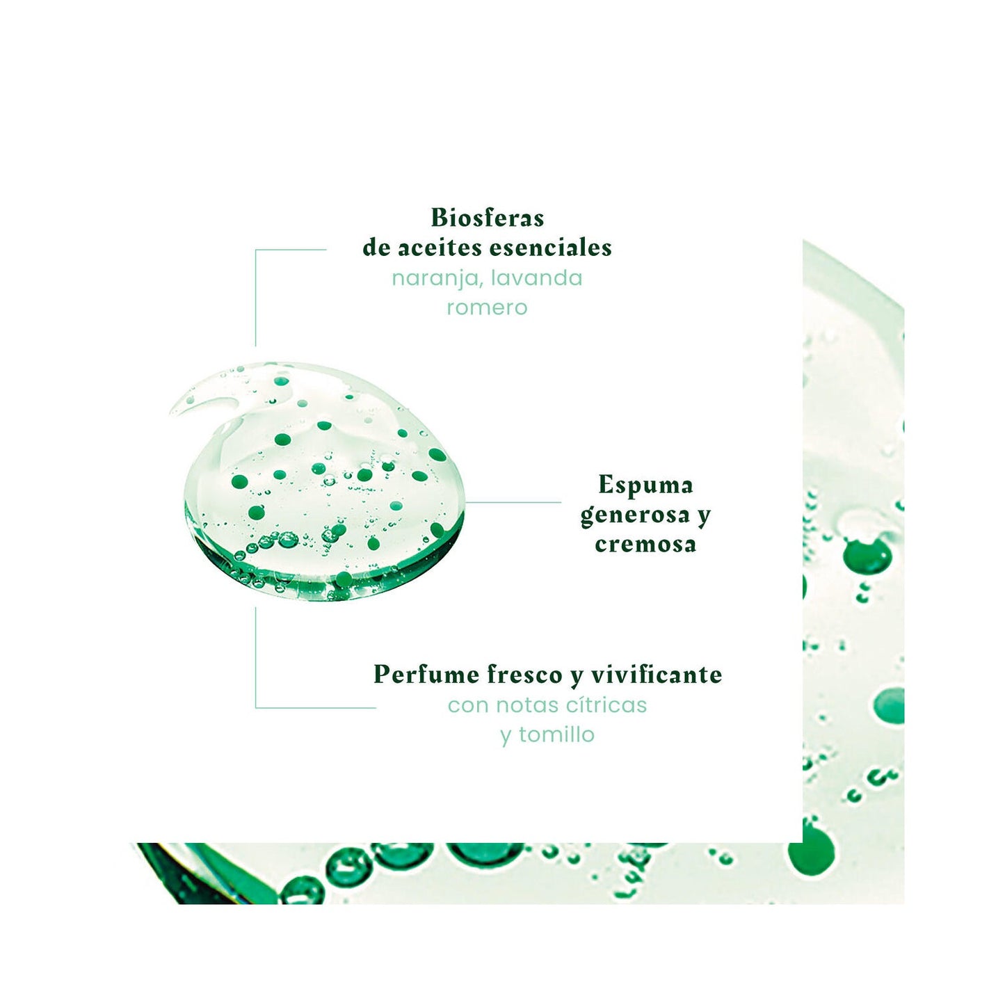 René Furterer Forticea Champú Fortalecedor y Revitalizante 50ml