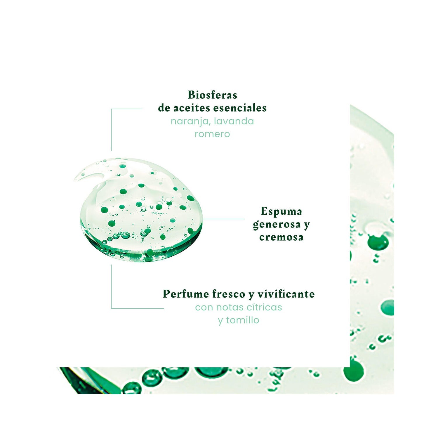 René Furterer Forticea Champú Fortalecedor y Revitalizante 50ml