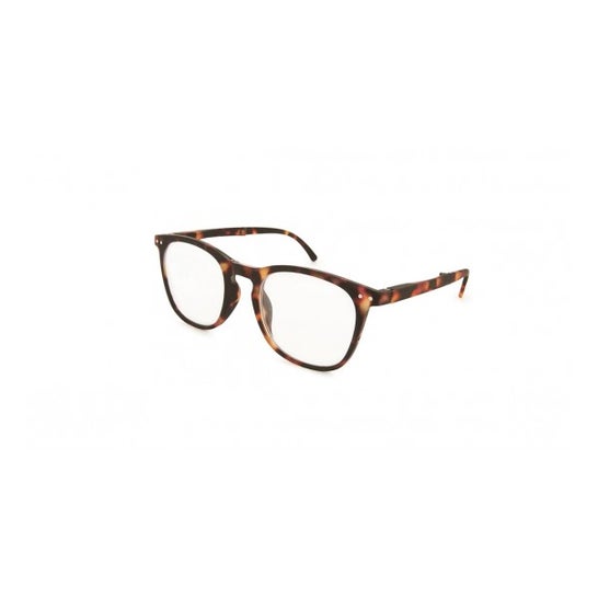 Nordic Vision Gafa Plegable Folding Havana +3,00 1ud