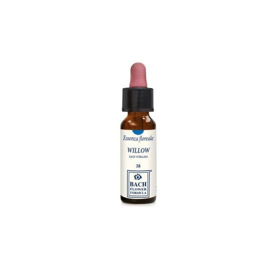 Herbavita Willow Original 10 ml Gtt