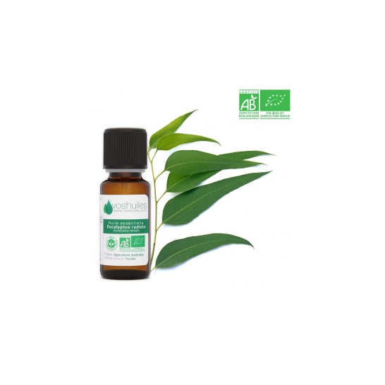 Voshuiles Aceite Esencial BIO de Eucalipto Radiata 125 ml