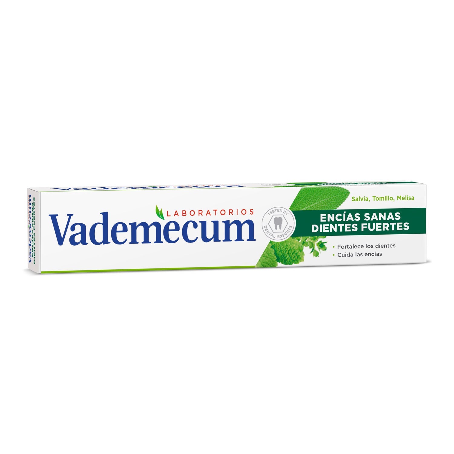 Vademecum Pasta Dental Encías Sanas y Fuertes 75ml