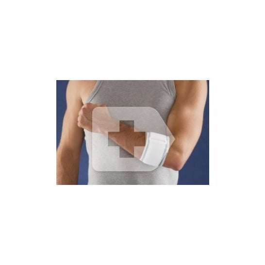 Intex vendaje antiepicondilitis T grande 1 ud
