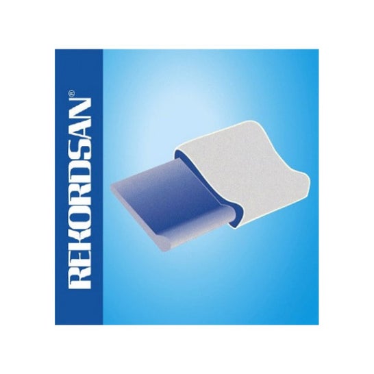 Rekordsan Hypoallergenic Anti-Mite Grand Comfort Pillow 1ud