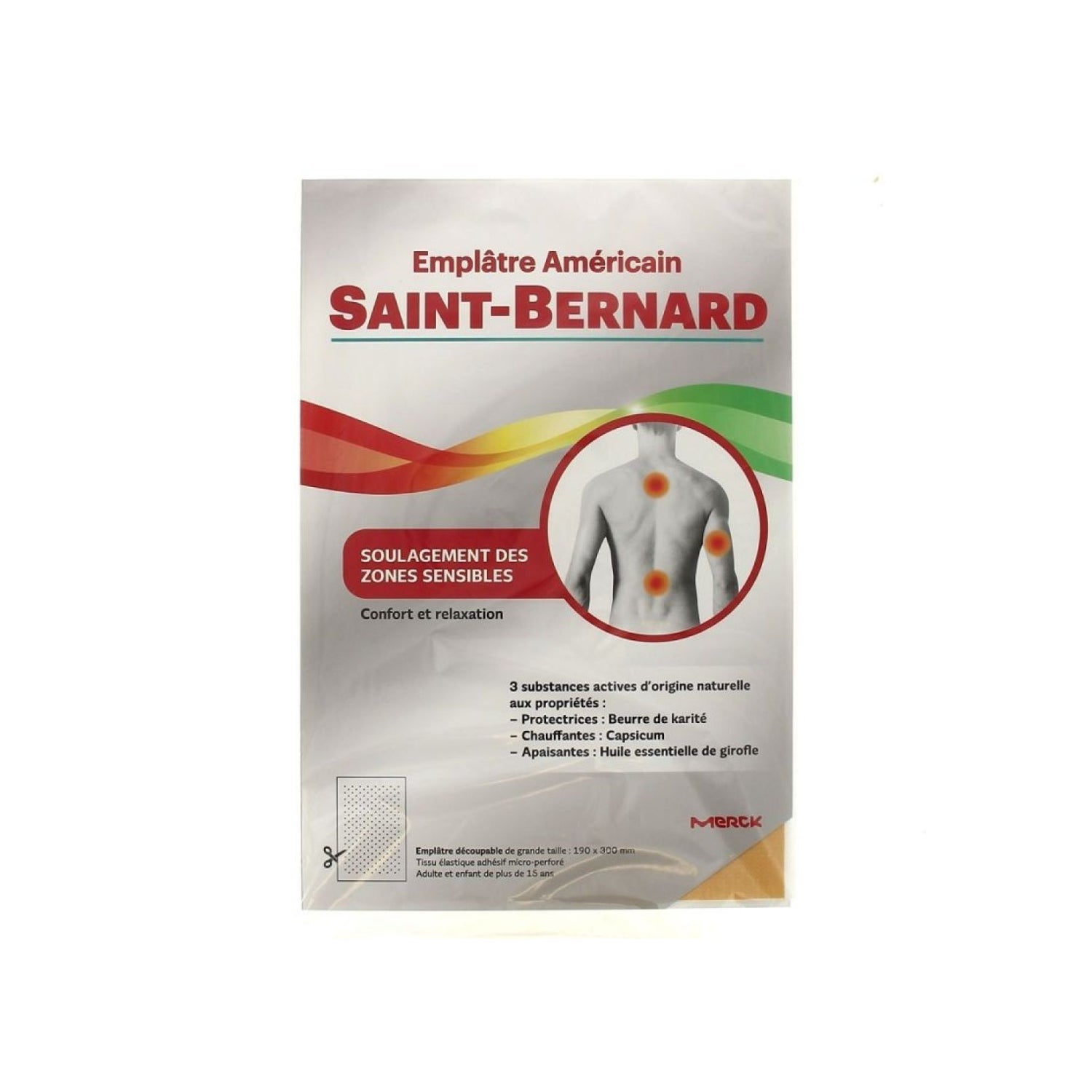 Saint-Bernard Yeso Americano 19cmx30cm
