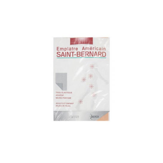 Saint-Bernard Yeso Americano 19cmx30cm