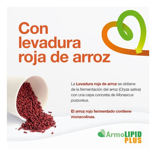 ArmoLIPID Plus Control Colesterol 30comp