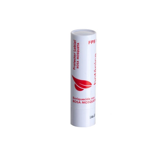 Ebers Stick Labial Rosa Mosqueta Spf15 4g