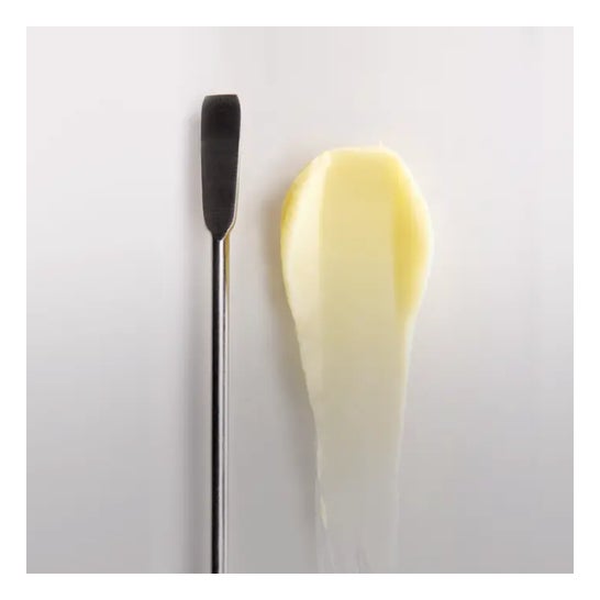 René Furterer Sublime Karité Leche de Peinado Profesional Disciplinante 40 ml