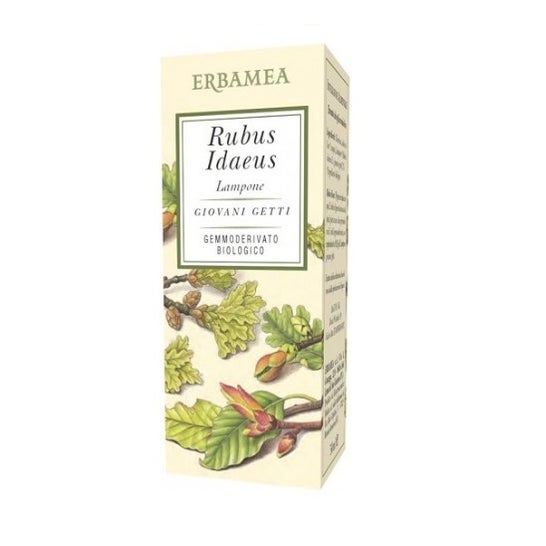 Erbamea Rubus Idaeus Frambuesa Gemmoderivato Bio 50ml