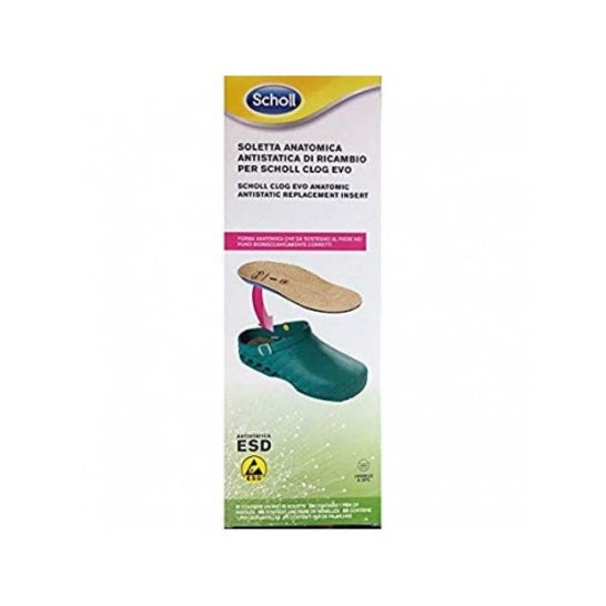 Zueco Evo Anat Ant Ins Mic39-40