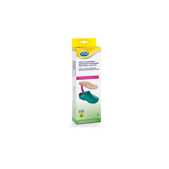 Zueco Evo Anat Ant Ins Mic39-40