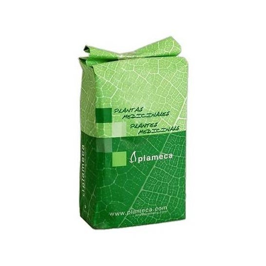Plameca Linaza Semilla Dorada Entera 1 kg