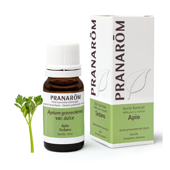Pranarôm Aceite Esencial de Apio 10ml
