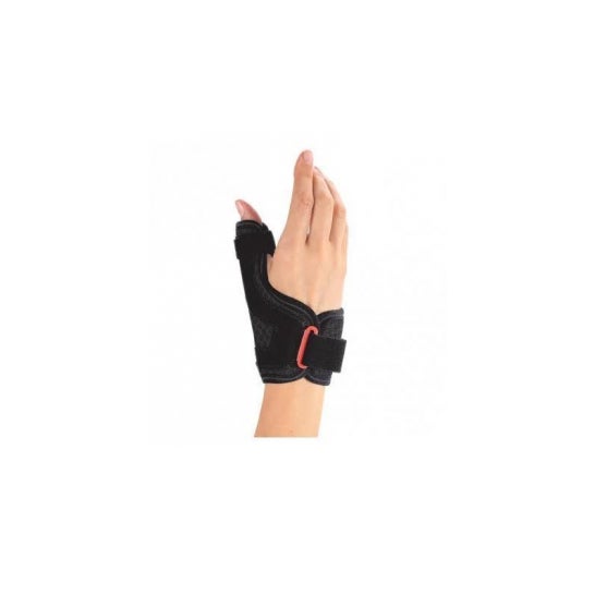 Djo Attel Inch Ergoform T2