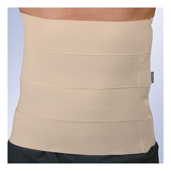 Orliman Faja 2 Bandas 90-110cm