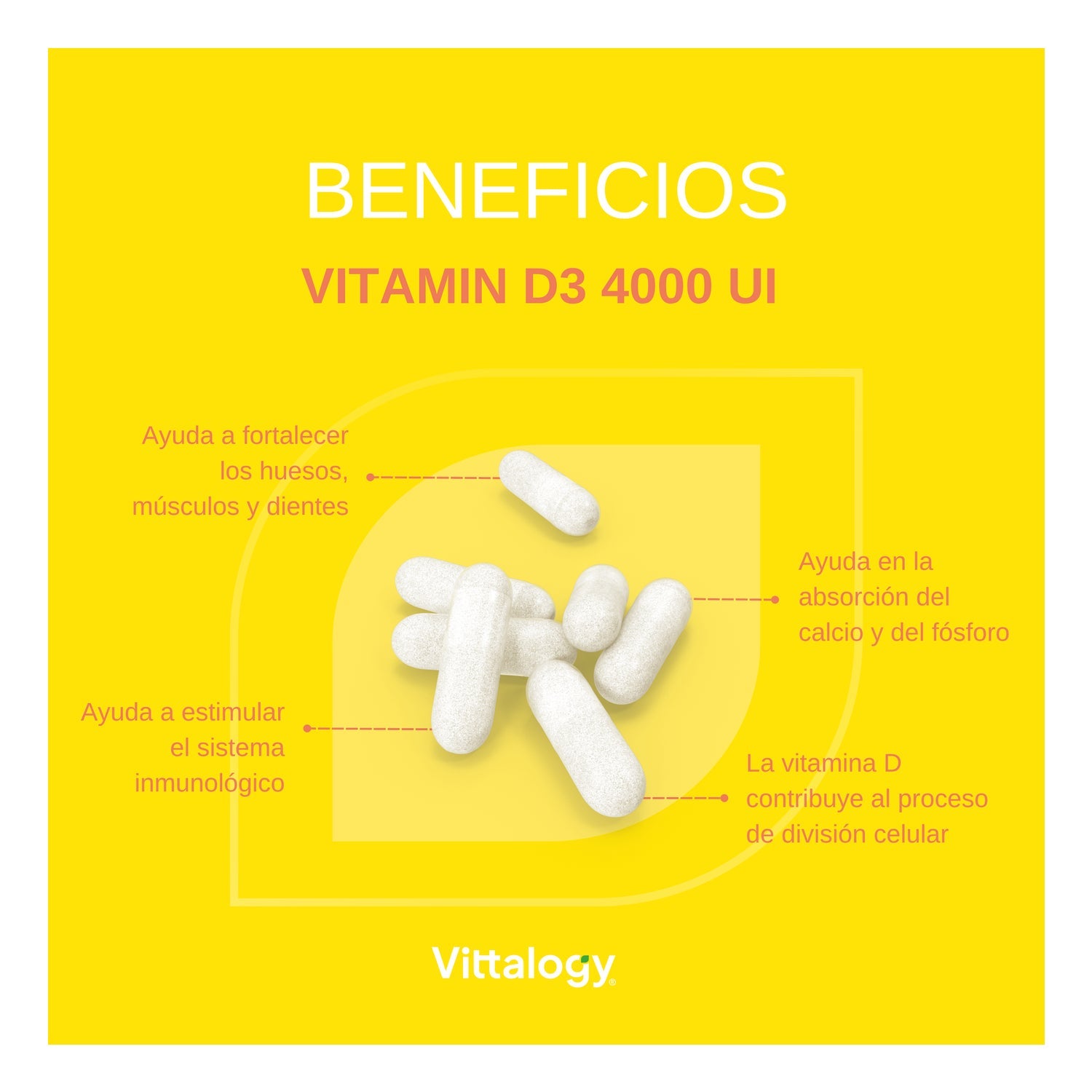 Vittalogy Vitamin D3 Premium 120 caps