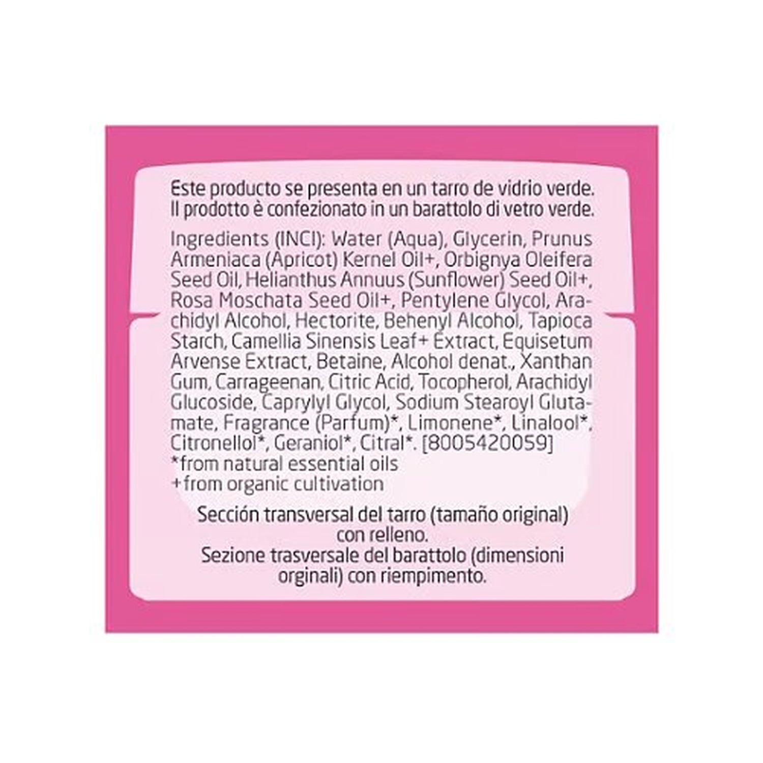Weleda Crema de Día Alisante de Rosa Mosqueta y Té Blanco 40ml