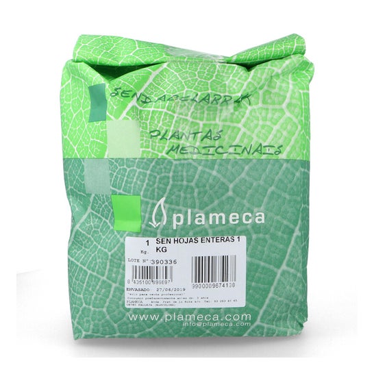 Plameca Gingenbre Raiz 1000g