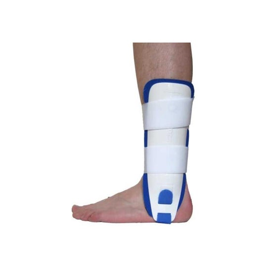 Gibaud Orthes Chev ortho Stabilis T1