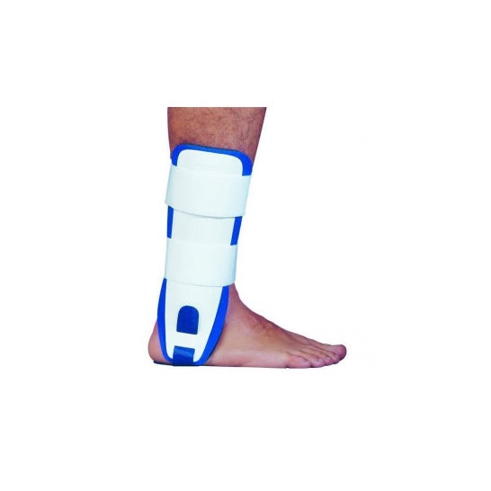 Gibaud Orthes Chev ortho Stabilis T1