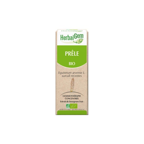 Herbalgem Maceración Madre Cola de Caballo Concentrado 30ml