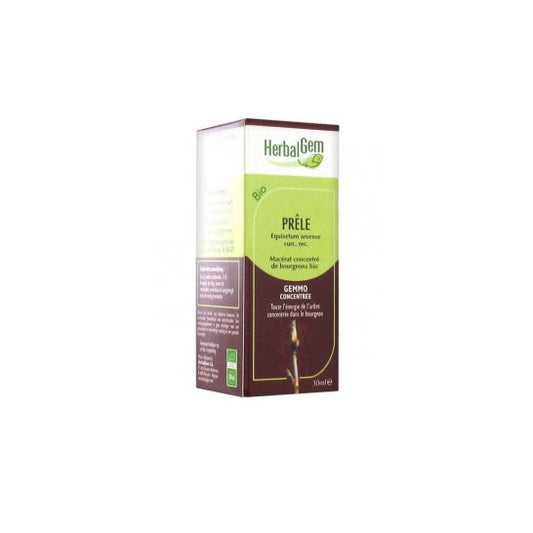 Herbalgem Maceración Madre Cola de Caballo Concentrado 30ml