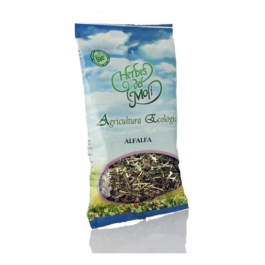 Alfalfa en Planta 45 g