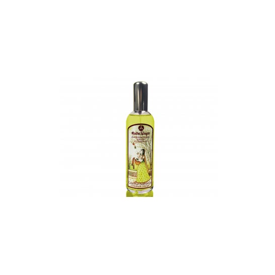 Radhe Shyam Ambientador Canela-naranja Spray 100 ml