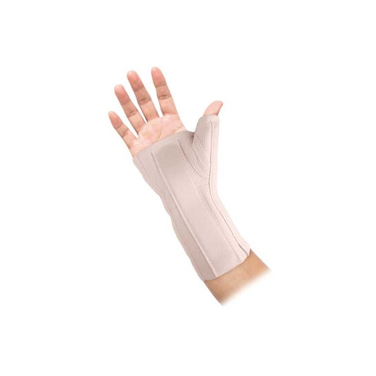Prim Muñequera C800 Férula Pulgar Palmar Derecho Beige M 1 Unidad