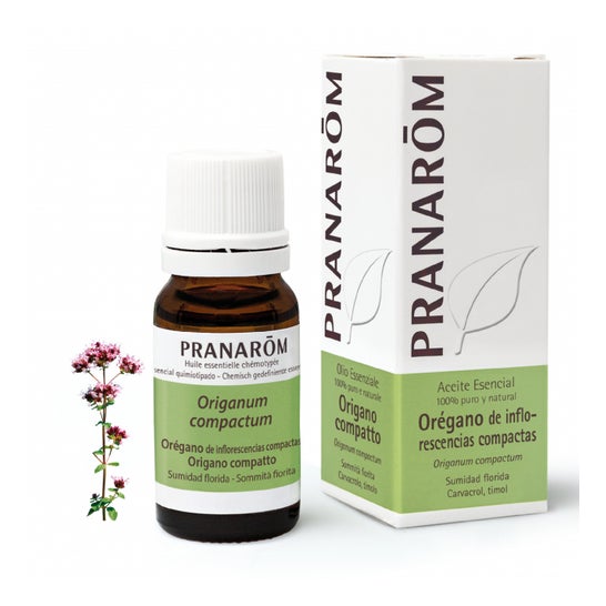 Pranarôm Aceite Esencial de Orégano de Inflorescencias Compactas 10ml