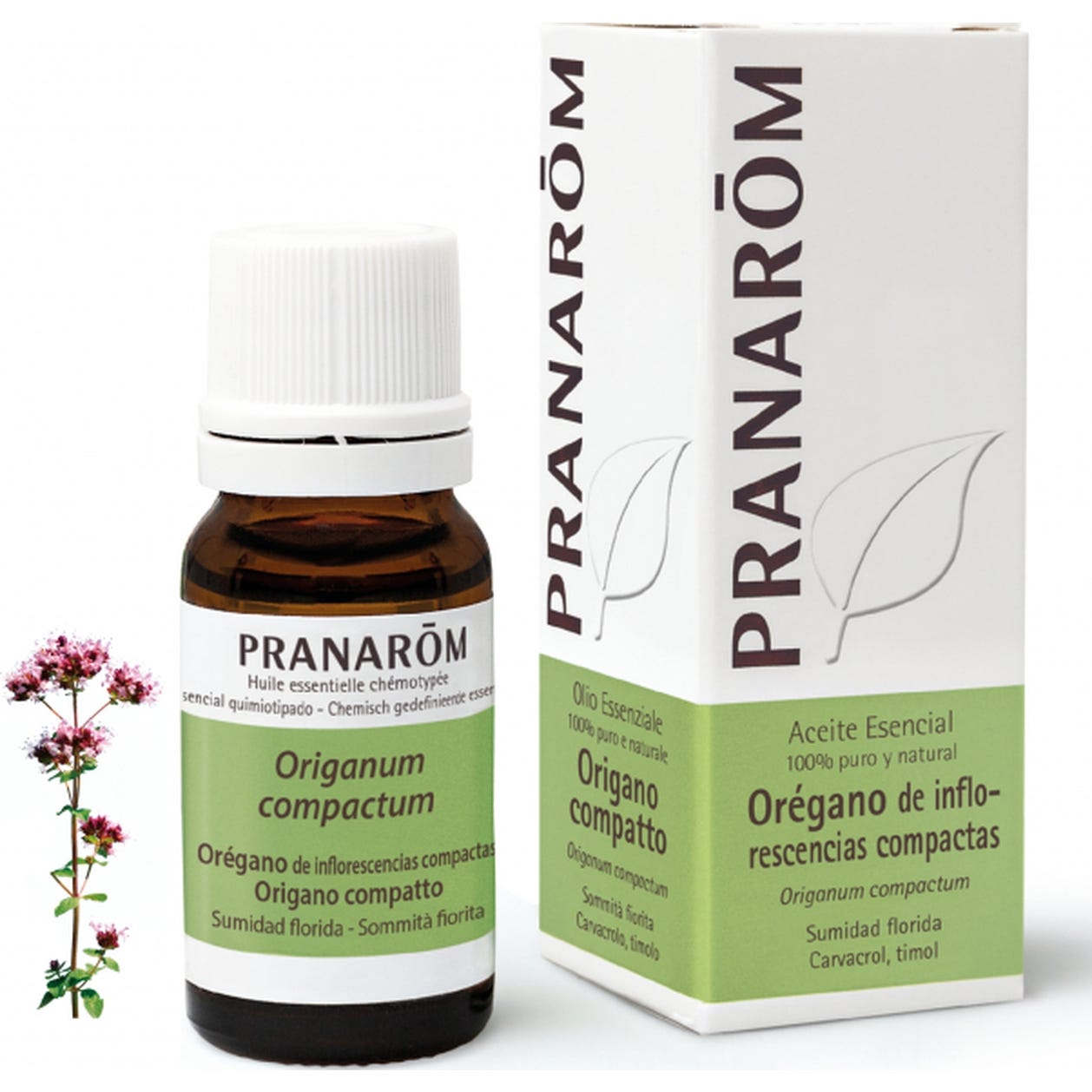Pranarôm Aceite Esencial de Orégano de Inflorescencias Compactas 10ml