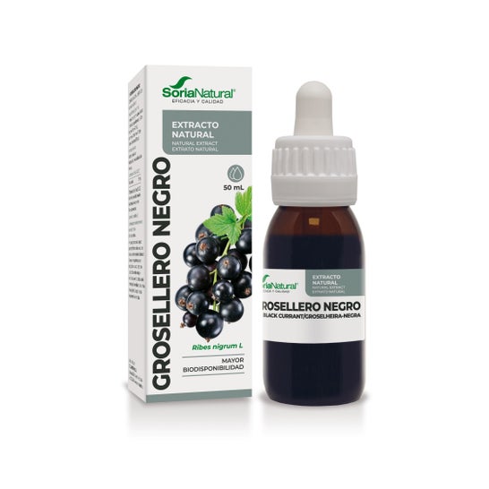 Extracto grosellero Negro Xxi 50 ml Sori