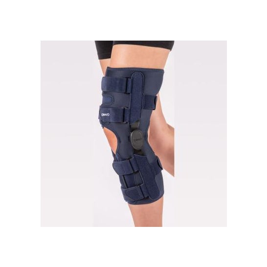 Gibaud Férula para Rodilla Standard 0/20° T2 1 ud