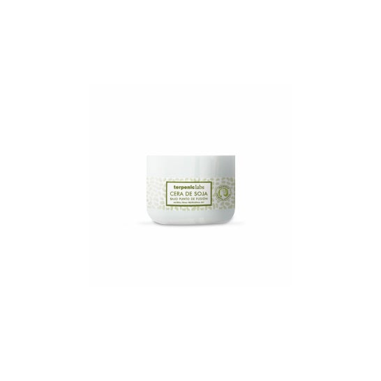 Terpenic Cera de Soja BPF 250 g