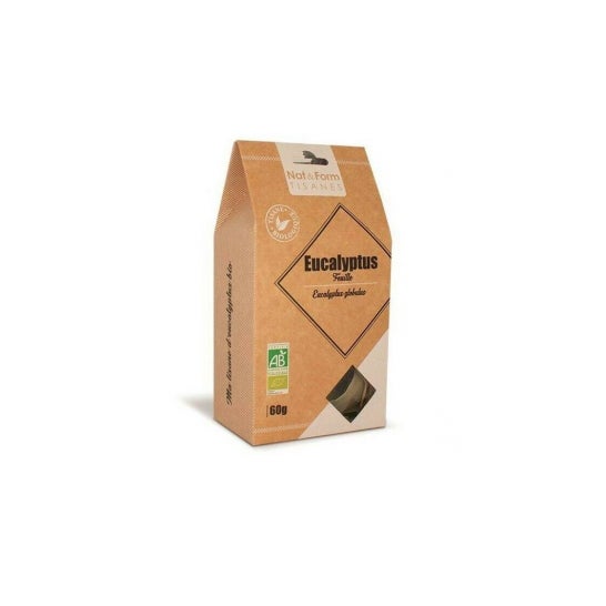 Nat&Form Eucal Glob Fll Bio60G Tejidos