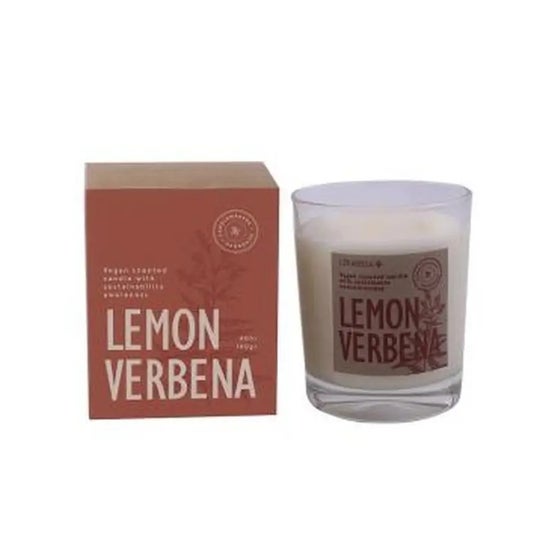 Cerabella Vela Vaso Botvaslv Lemon Verbena 7,5x9cm 1ud
