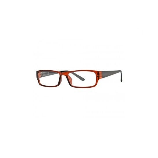 Nordic Vision modelo Sater color marrón y negro dioptrías +1,00 1ud