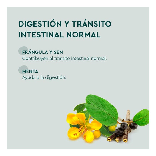 Kneipp DelgaTé Infusion 40uds