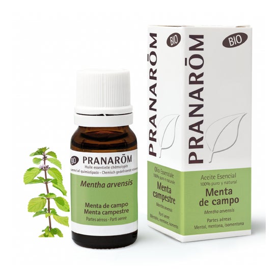 Pranarôm Aceite Esencial de Menta de Campo BIO 10ml