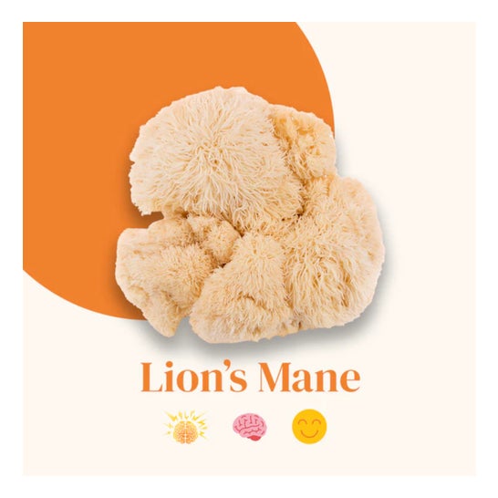 French Mush Lion's Mane Bio 56 Perlas