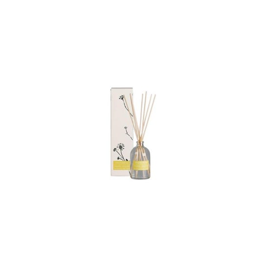 Cerabella Ambientador Mikado Herbmikl Maria Luisa 100ml