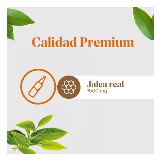 Arkopharma Arkoreal Jalea Real 1500mg Sin Azúcar 20ampollas