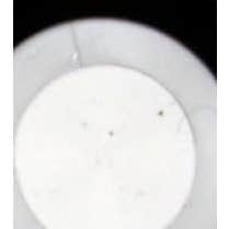 Hivital Vitamina B Complex 210 cápsulas veganas