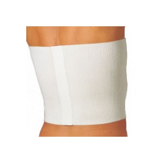 Gibaud Faja Ligera 32 cm 0104 T L 1 ud