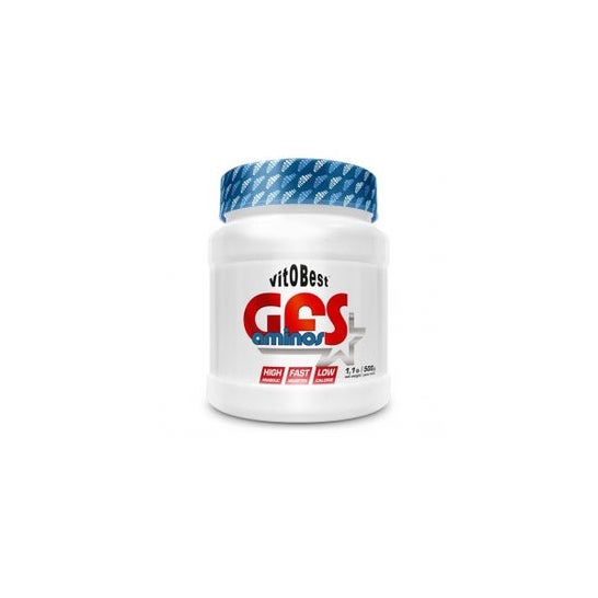 Vitobest Gfs Aminos Wild Melon 500g