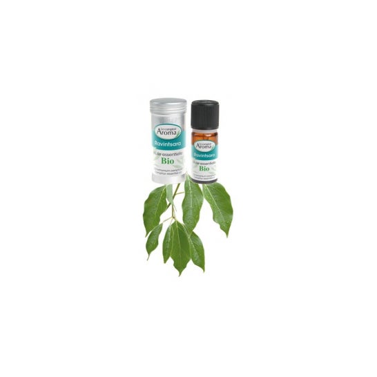 Le Comptoir Aroma Aceite esencial Ravintsara Bio 10ml