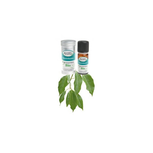Le Comptoir Aroma Aceite esencial Ravintsara Bio 10ml